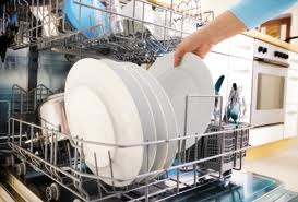 Dishwasher Technician Alvin